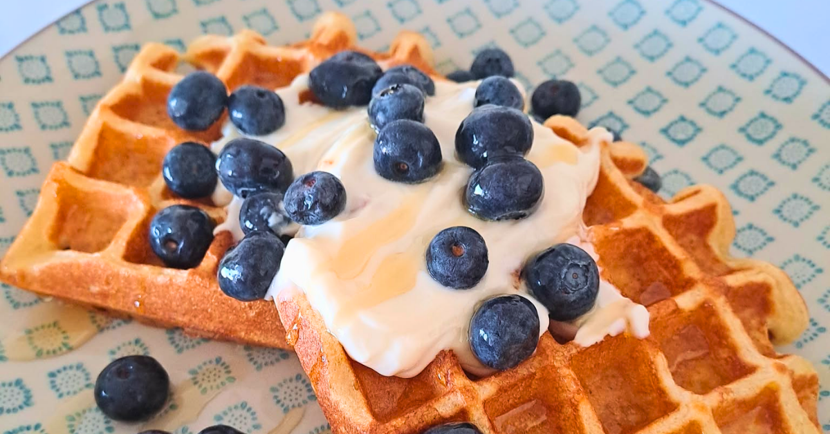 fit wafle